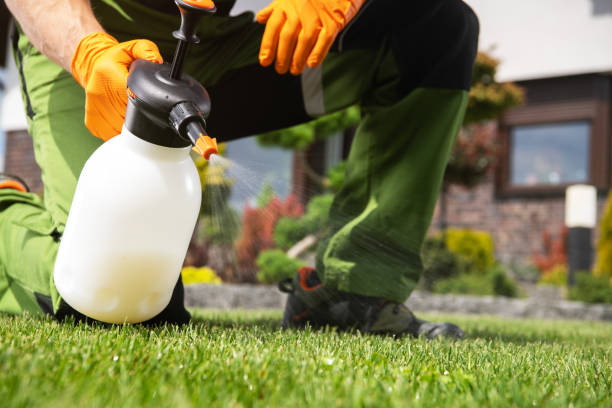 Pest Control Cost in El Paso, TX